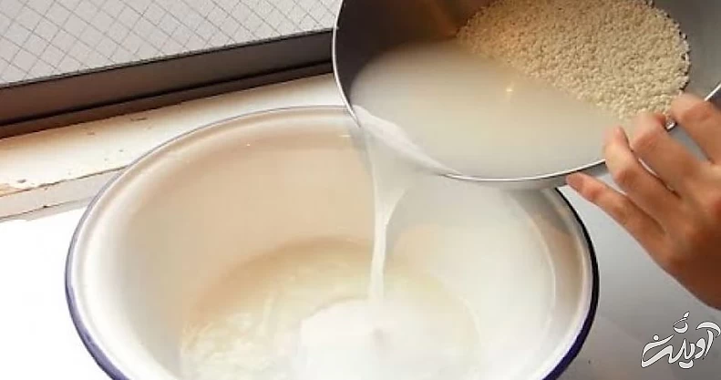 فواید فواید